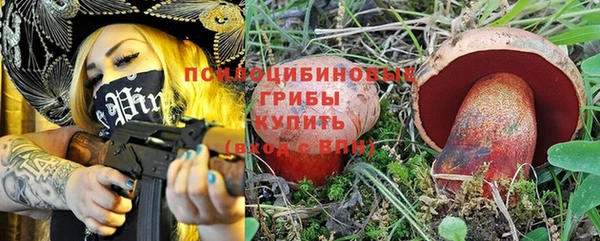 мдпв Вязники