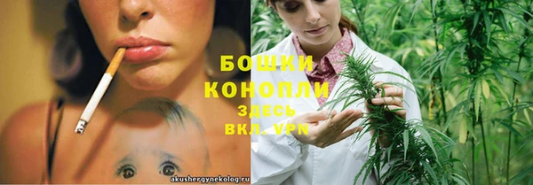 эйфоретик Осташков