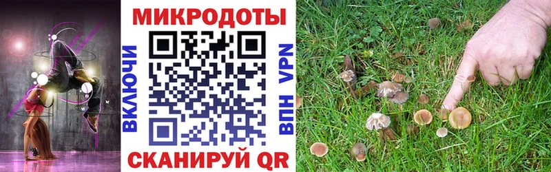 ссылка на мегу рабочий сайт  Заполярный  Галлюциногенные грибы GOLDEN TEACHER 